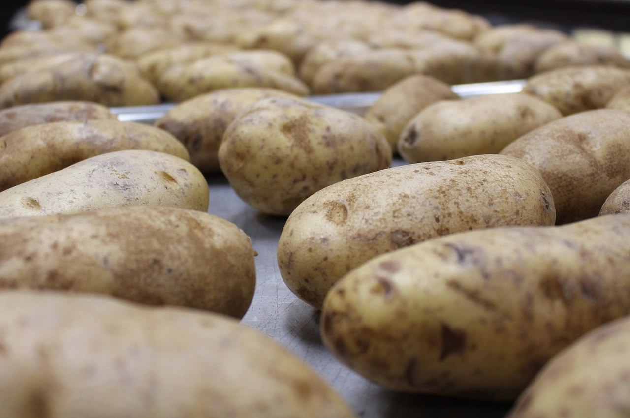 Backkartoffeln